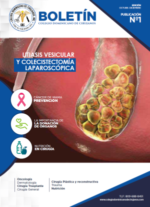REVISTA-ENVIAR-01
